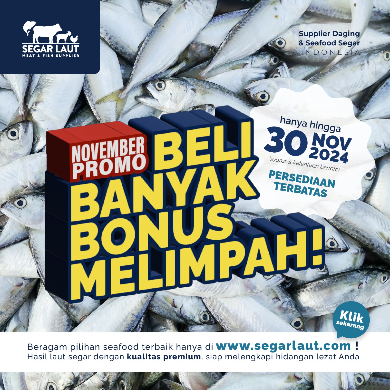 Promo November Segar Laut